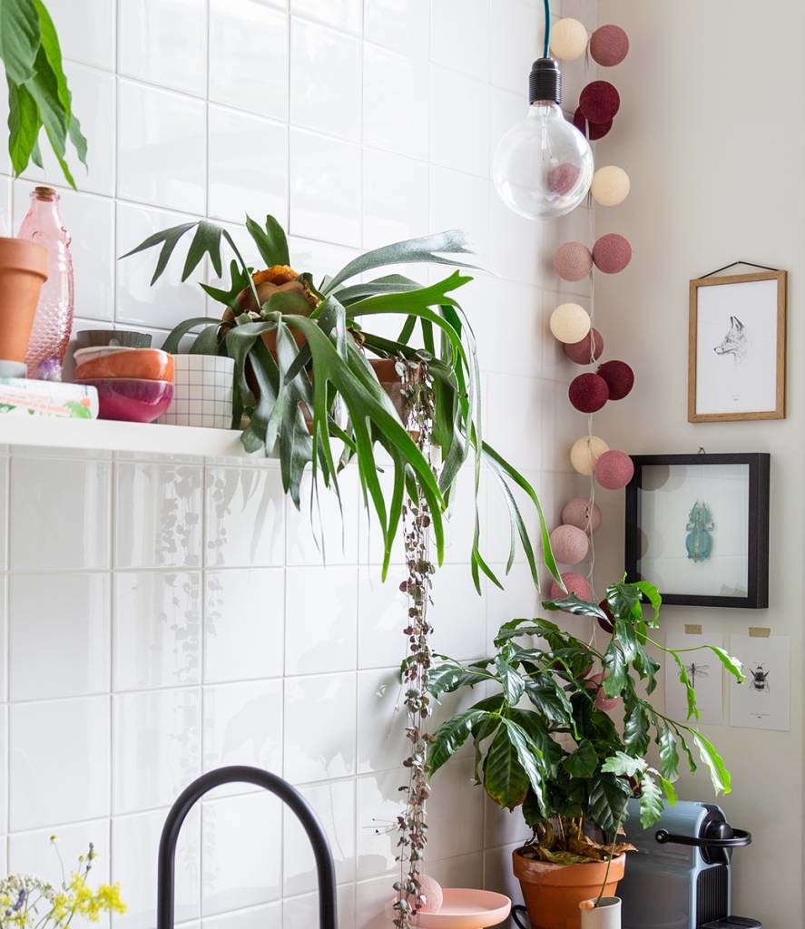 Cotton Ball Lights διακοσμητικά φωτάκια εσωτερικού χώρου Rosegarden 20 τεμαχίων - Image 3